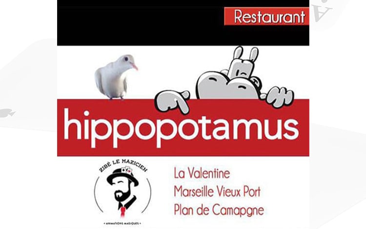 Animation Close Up Hippopotamus (Plan de Campagne, Marseille Vieux Port , la Valentine)