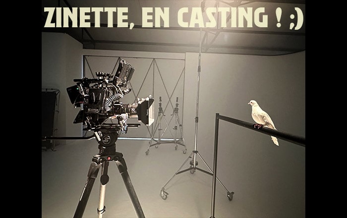 C24 la Colombe Zinette et Soprano tournage clip video