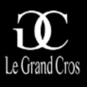 le grand cros magicien animation mariage