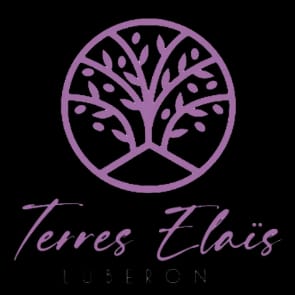 Terre Elais animation cocktail mariage